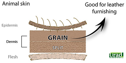 The difference between leather Grain and the Split illustrated
